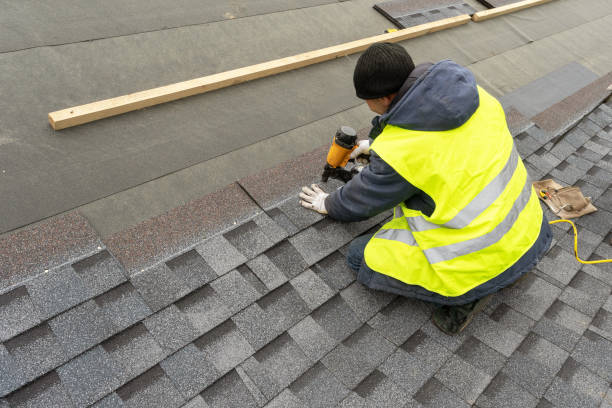 Best Roof Insulation Installation  in Nolanville, TX