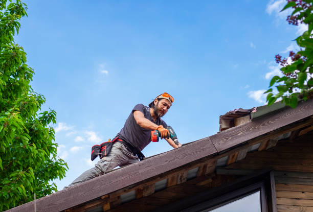 Best Roof Ventilation Installation  in Nolanville, TX