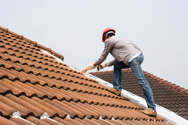 Best Slate Roofing  in Nolanville, TX